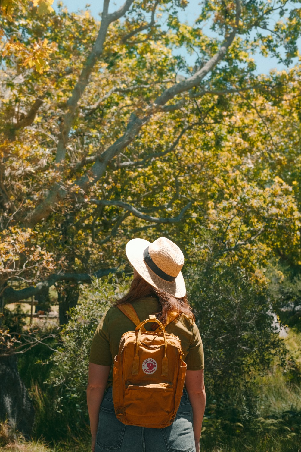 Jane from behind in a hat and rust backpack, looking up into sunlit trees